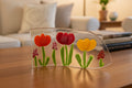 Spring Tulips