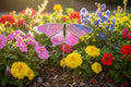 Stained Glass Butterfly Plant Stake